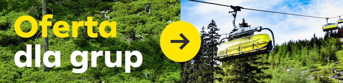 Oferta dla grup