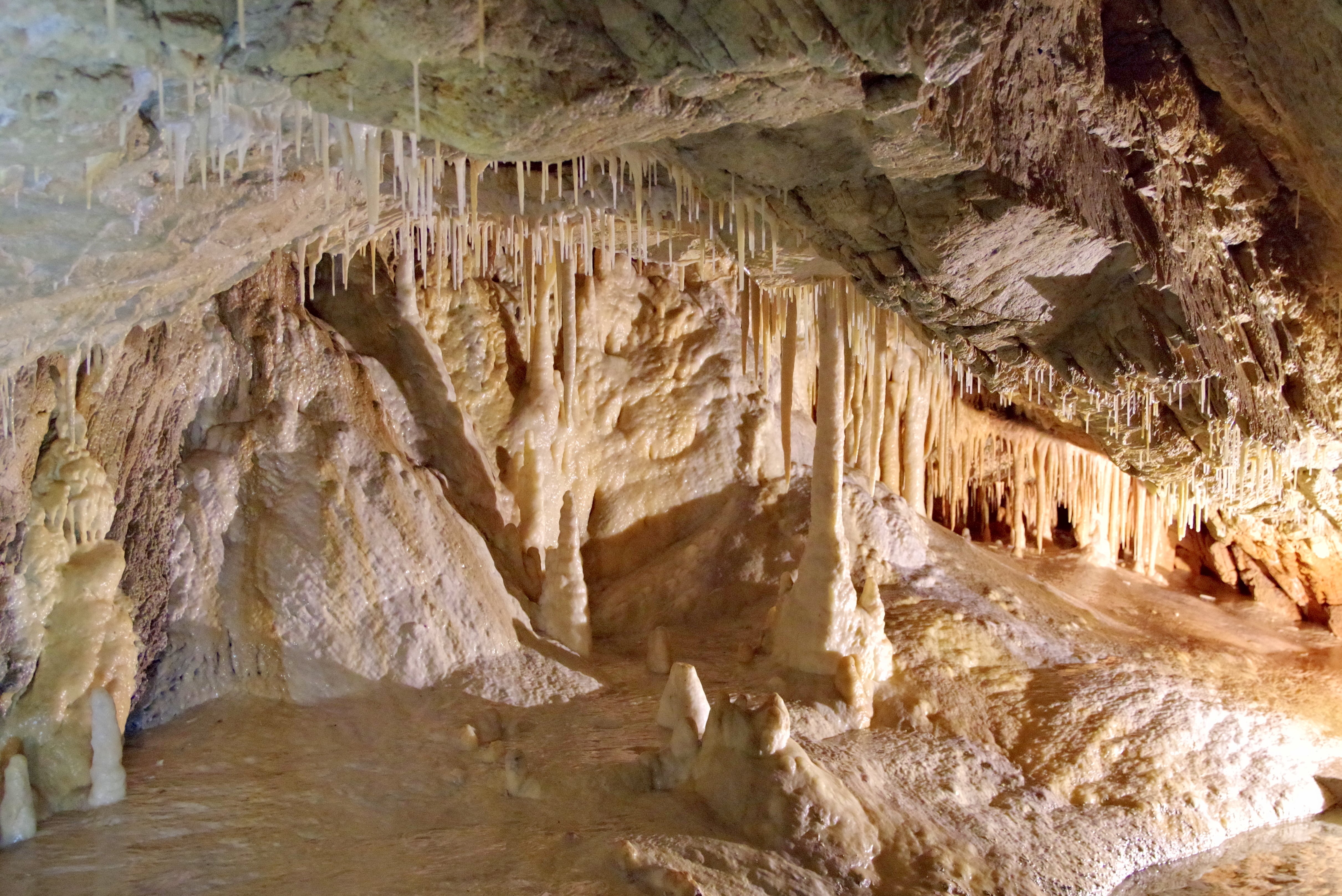 Czarna Góra Resort Speleologia Jaskinia Niedżwiedzia