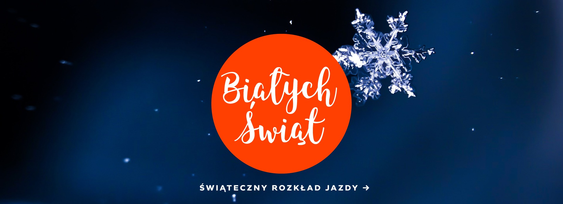 Święta na Stoku w Czarna Góra Resort