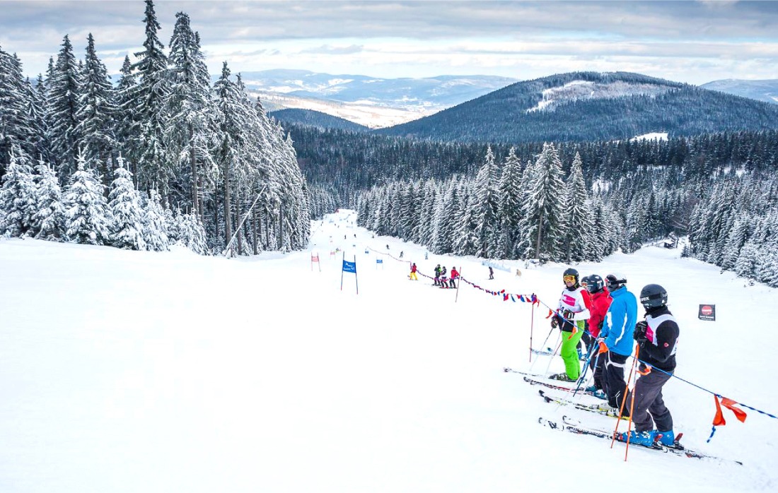 Treningi na tyczkach Narciarstwo Alpejskie Czarna Góra Resort