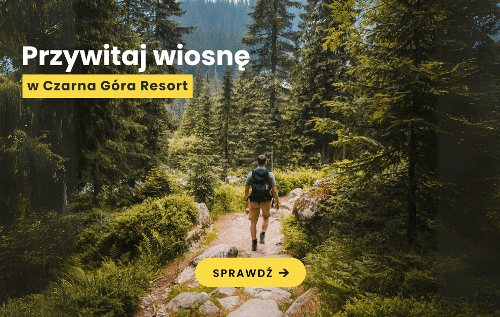 Wiosenna wędrówka po lesie w Czarna Góra Resort, Masyw Śnieżnika. Wiosna w górach